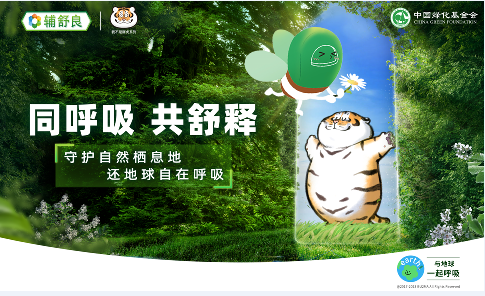 辅舒良#地球呼吸计划# x 中国绿化基金会再牵手，共同修复辽东山区红松生态林
